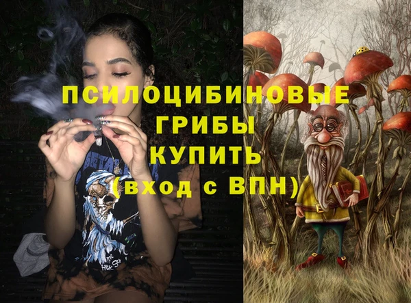 винт Алексин