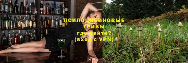 винт Алексин