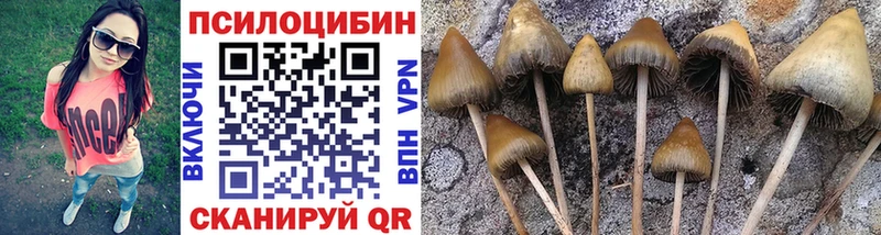 Галлюциногенные грибы Psilocybe  нарко площадка как зайти  OMG вход  Безенчук  что такое наркотик 